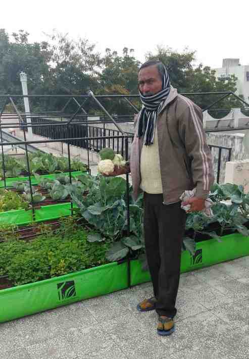 organic farming in jaipur